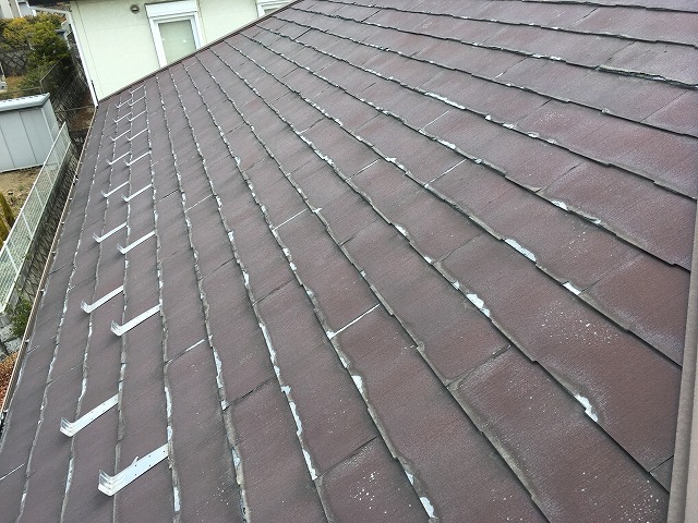 パミールもご相談ください